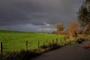 crw_0008.jpg