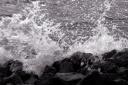 crw_0081.jpg
