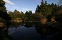 Botanischer Garten Hamburg