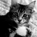 lancelot-crw_0415.jpg