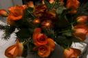 crw_0077.jpg