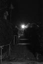 2008-sw003_neopan_1600-20080115-20080115213821-81.jpg
