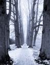 allee_2008-sw002_chm400320-20080107-20080107205239.jpg