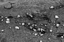 sand-crw_9732-43.jpg