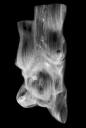 torso_-_2008-sw003_neopan_1600-20080110-20080110195027-80.jpg