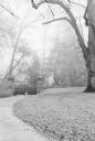 tor_weg_baum_2008-sw005_neopan_1600-20080128-20080128221631.jpg