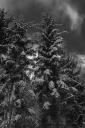 baume-crw_7532.jpg