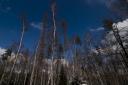baume-crw_7597.jpg