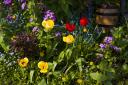 fruhlingsbilder-crw_7732.jpg