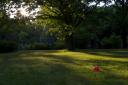 roter_ball_auf_wiese_im_tiergarten-crw_8464.jpg