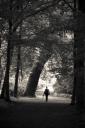 im_park-crw_9926.jpg