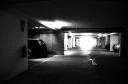 licht_am_ende_des_tunnels-14-10.jpg